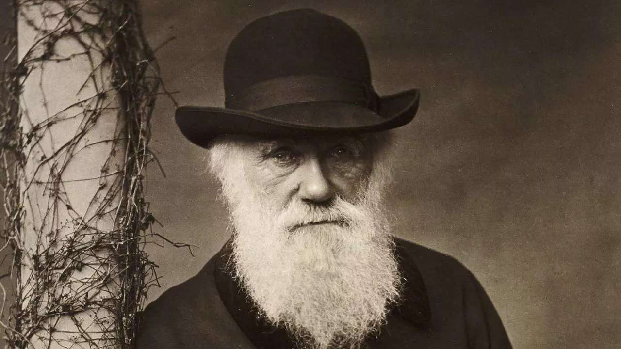 Darwin Day: il 12 febbraio si celebra il padre dell'evoluzione