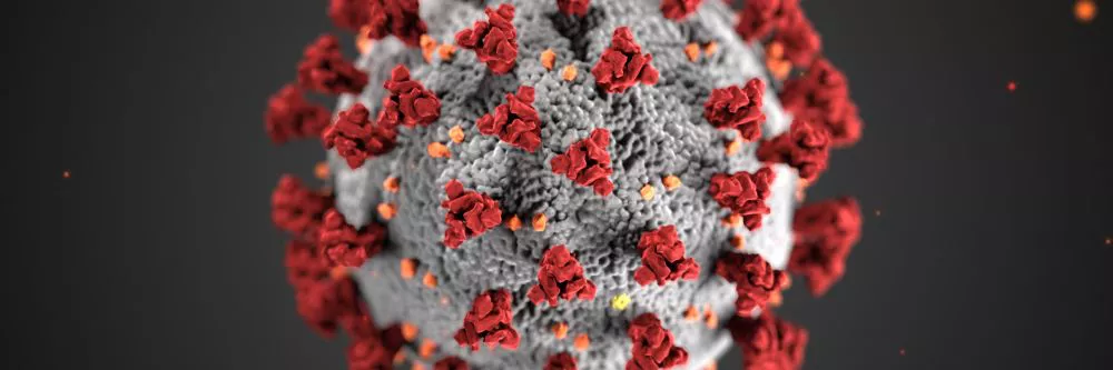 Dati Coronavirus in tempo reale: come funziona l'app Italiatuttobene