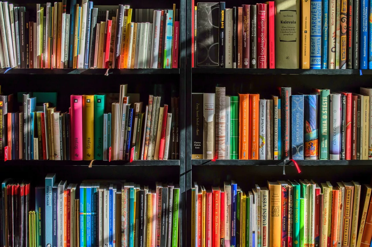 Scuola del Texas vieta decine di libri: anche la Bibbia e il Diario di Anna Frank