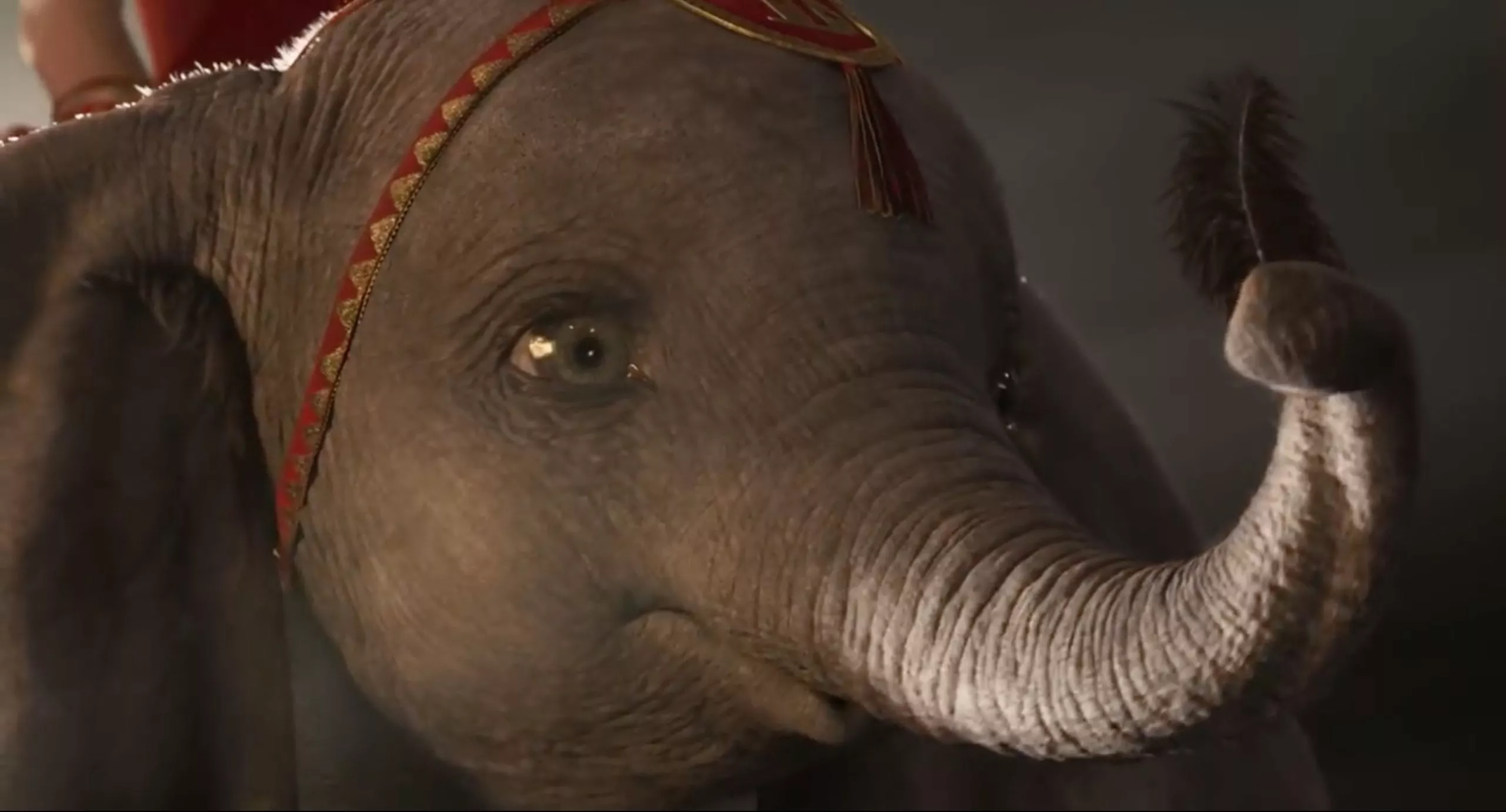 Dumbo 2019: uscita, trailer, cast