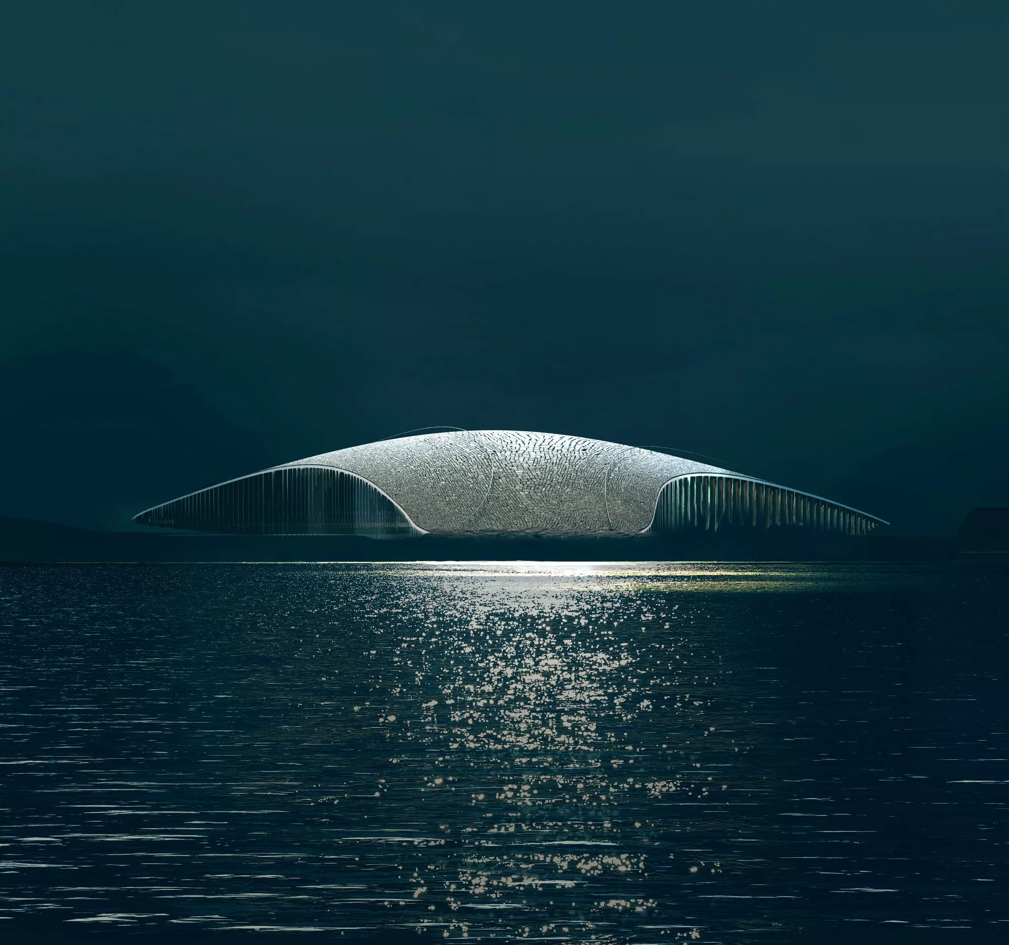 The Whale, apre in Norvegia l’edificio a forma di balena da cui osservare i cetacei