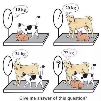 Quanto pesano cani, gatti e conigli?